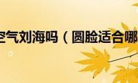 圆脸适合空气刘海吗（圆脸适合哪些空气刘海发型）