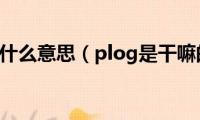 plog什么意思（plog是干嘛的）