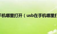 usb在手机哪里打开（usb在手机哪里打开）