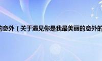 遇见你是我最美丽的意外（关于遇见你是我最美丽的意外的基本详情介绍）