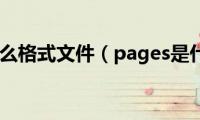 pages是什么格式文件（pages是什么软件）