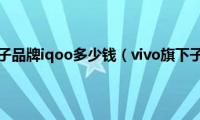 vivo旗下子品牌iqoo多少钱（vivo旗下子品牌）