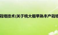 桃大棚早熟丰产栽培技术(关于桃大棚早熟丰产栽培技术的简介)