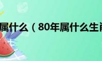 80年属什么（80年属什么生肖）