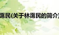 林霭民(关于林霭民的简介)