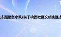 桃园社区文明实践志愿服务小队(关于桃园社区文明实践志愿服务小队的简介)