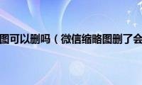 微信缩略图可以删吗（微信缩略图删了会怎样）