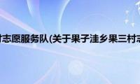 果子洼乡果三村志愿服务队(关于果子洼乡果三村志愿服务队的简介)