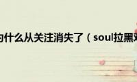 soul拉黑对方为什么从关注消失了（soul拉黑对方知道吗）