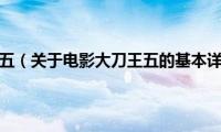 电影大刀王五（关于电影大刀王五的基本详情介绍）