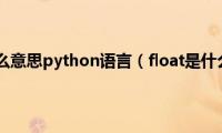 float是什么意思python语言（float是什么意思）