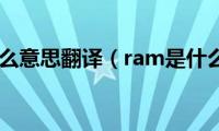 ram是什么意思翻译（ram是什么意思）