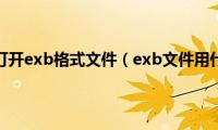 用什么软件打开exb格式文件（exb文件用什么打开）