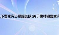 桃林镇曹家沟社区下曹家沟志愿服务队(关于桃林镇曹家沟社区下曹家沟志愿服务队的简介)