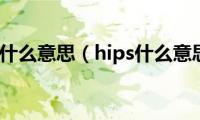 hips什么意思（hips什么意思）