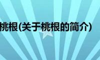 桃根(关于桃根的简介)