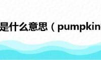 pumpkin是什么意思（pumpkin指什么）