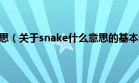 snake什么意思（关于snake什么意思的基本详情介绍）