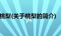 桃梨(关于桃梨的简介)