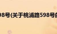 桃浦路598号(关于桃浦路598号的简介)