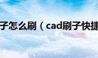 cad刷子怎么刷（cad刷子快捷键）