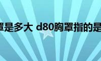 d80胸罩是多大(d80胸罩指的是什么)