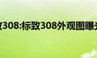 标致308:标致308外观图曝光