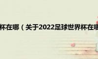 2022足球世界杯在哪（关于2022足球世界杯在哪的基本详情介绍）