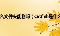 catfish是什么文件夹能删吗（catfish是什么文件夹）