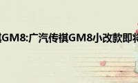 广汽传祺GM8:广汽传祺GM8小改款即将上市