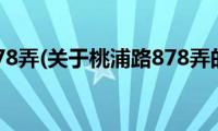 桃浦路878弄(关于桃浦路878弄的简介)