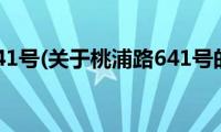 桃浦路641号(关于桃浦路641号的简介)