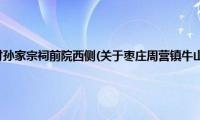 枣庄周营镇牛山村孙家宗祠前院西侧(关于枣庄周营镇牛山村孙家宗祠前院西侧的简介)