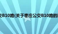 枣庄公交B10路(关于枣庄公交B10路的简介)