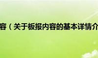 板报内容（关于板报内容的基本详情介绍）