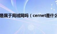 cernet是属于局域网吗（cernet是什么网）