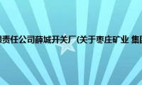 枣庄矿业(集团有限责任公司薛城开关厂(关于枣庄矿业 集团有限责任公司薛城开关厂的简介))