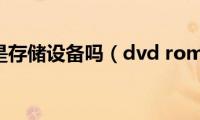 dvd(rom是存储设备吗（dvd rom属于啥）)