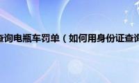 如何用身份证查询电瓶车罚单（如何用身份证查询电话号码）