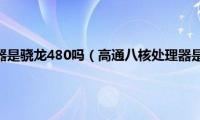 高通八核处理器是骁龙480吗（高通八核处理器是骁龙多少）