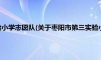 枣阳市第三实验小学志愿队(关于枣阳市第三实验小学志愿队的简介)