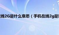 对方显示手机在线2G是什么意思（手机在线2g是对方在线吗）