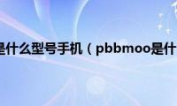 pbbmoo是什么型号手机（pbbmoo是什么手机）