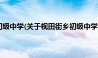 枧田街乡初级中学(关于枧田街乡初级中学的简介)