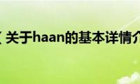 haan（关于haan的基本详情介绍）