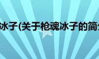 枪魂冰子(关于枪魂冰子的简介)