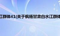 枫杨甘肃白水江群体41(关于枫杨甘肃白水江群体41的简介)