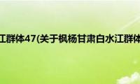 枫杨甘肃白水江群体47(关于枫杨甘肃白水江群体47的简介)