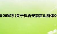 枫香安徽霍山群体06家系(关于枫香安徽霍山群体06家系的简介)