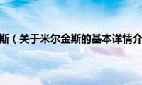 米尔金斯（关于米尔金斯的基本详情介绍）